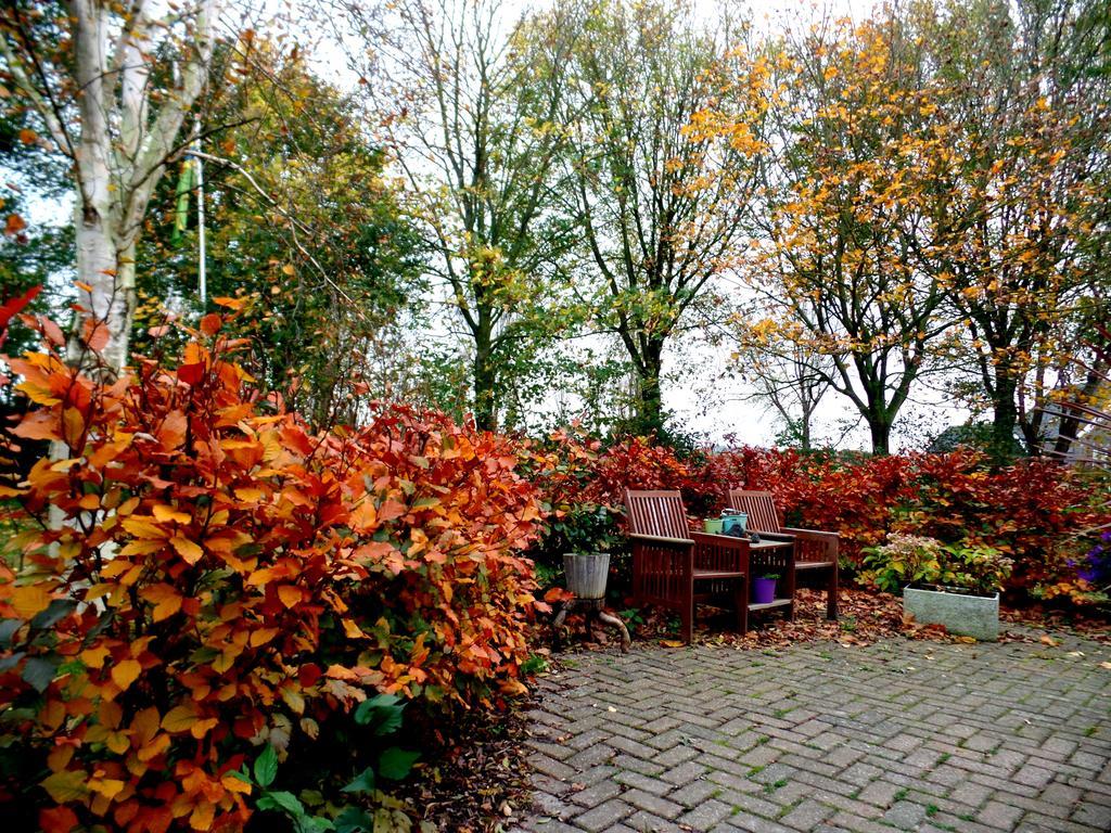 Bed En Breakfast De Pauw Wieringerwaard エクステリア 写真