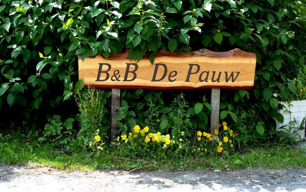 Bed En Breakfast De Pauw Wieringerwaard 部屋 写真