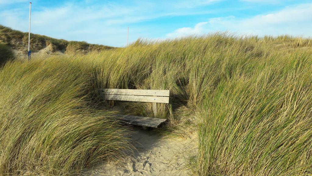 Bed En Breakfast De Pauw Wieringerwaard エクステリア 写真