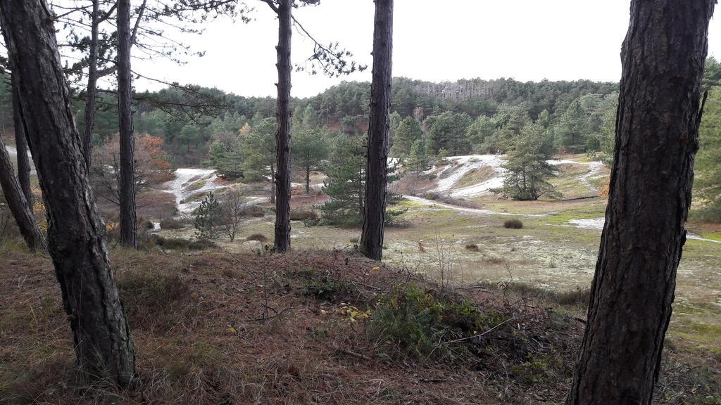 Bed En Breakfast De Pauw Wieringerwaard エクステリア 写真