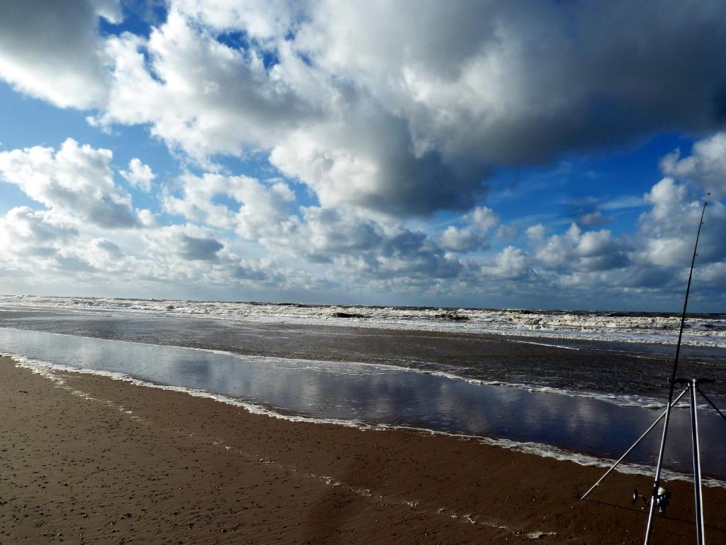 Bed En Breakfast De Pauw Wieringerwaard エクステリア 写真