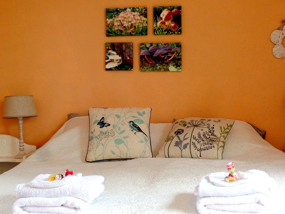 Bed En Breakfast De Pauw Wieringerwaard エクステリア 写真