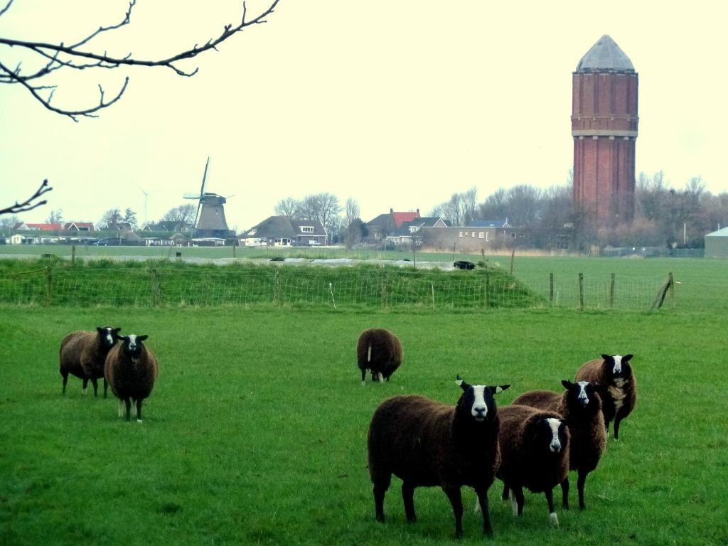 Bed En Breakfast De Pauw Wieringerwaard 部屋 写真
