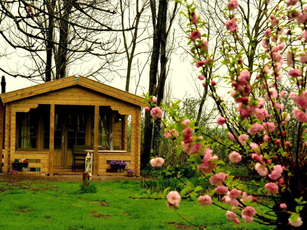 Bed En Breakfast De Pauw Wieringerwaard 部屋 写真